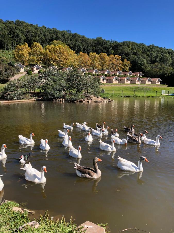 Pousada Parque Das Pitangueiras Flores da Cunha Exteriér fotografie